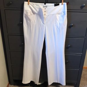 Express editor low rise pants